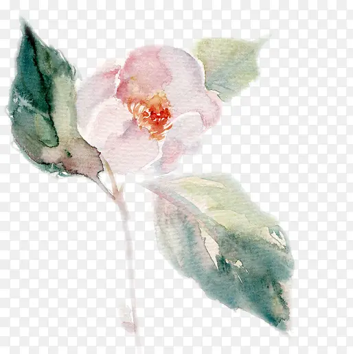 �ֻ��һ�����-������