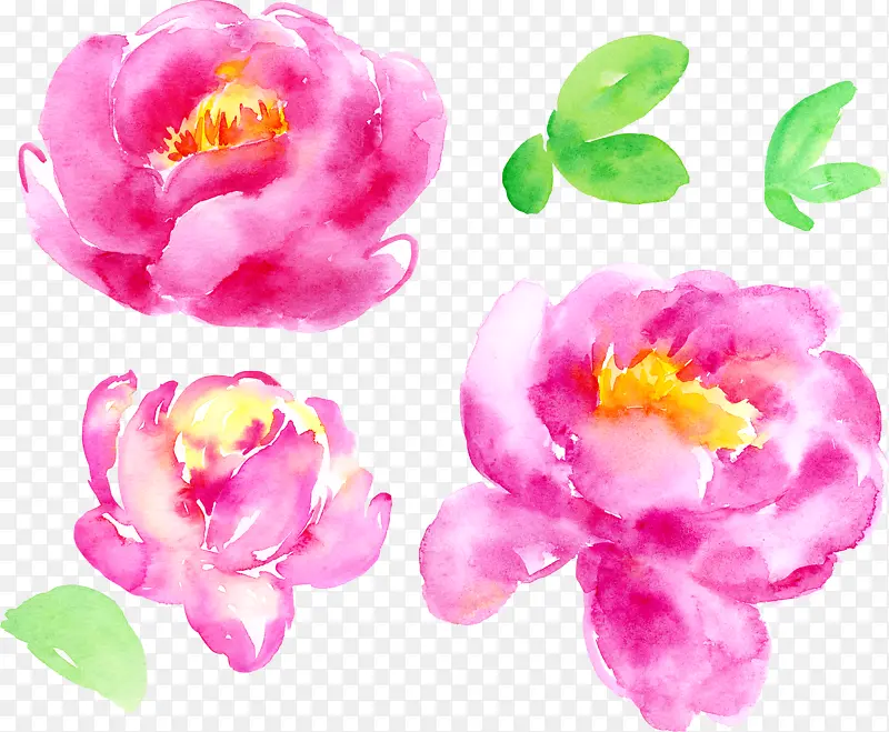 ˮ���һ�-������