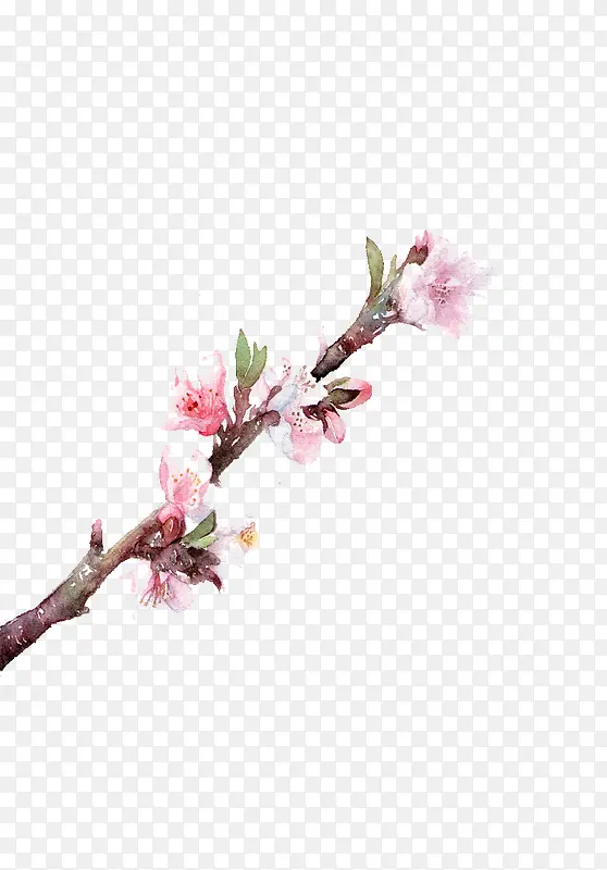 ˮ�ʷ�ɫ�һ�-������