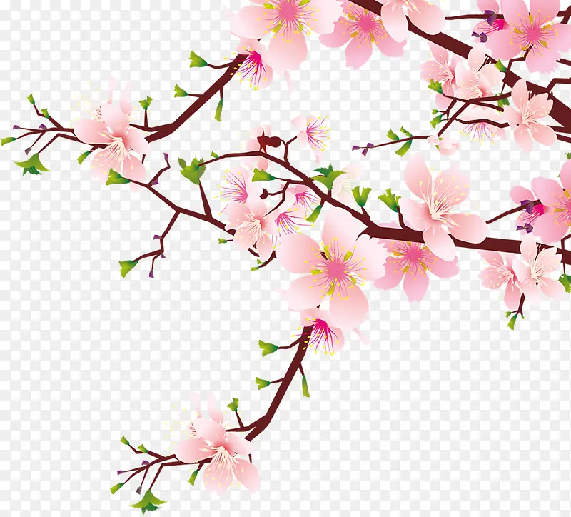 ����Ч����ͨ�һ���֦-������