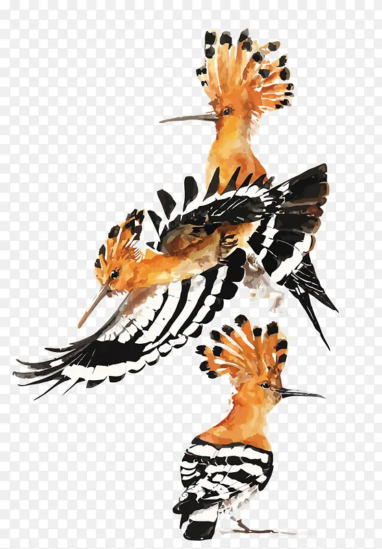 ʸ����ɫ��-������