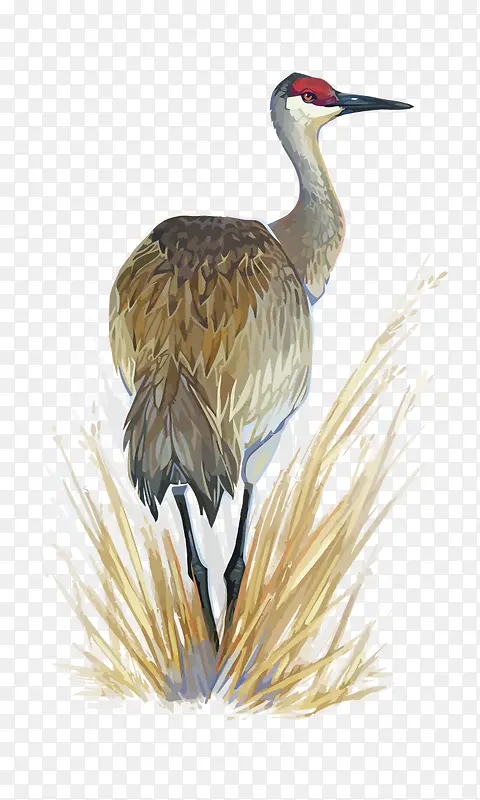 ʸ��ˮ����-������