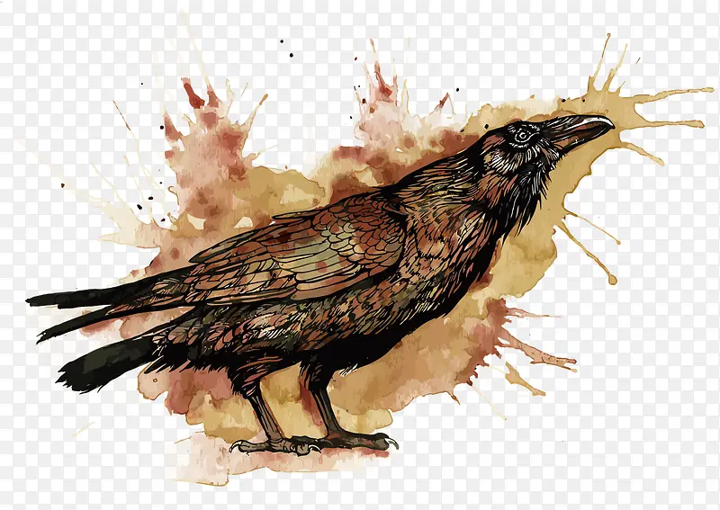 ʸ��ˮ����-������