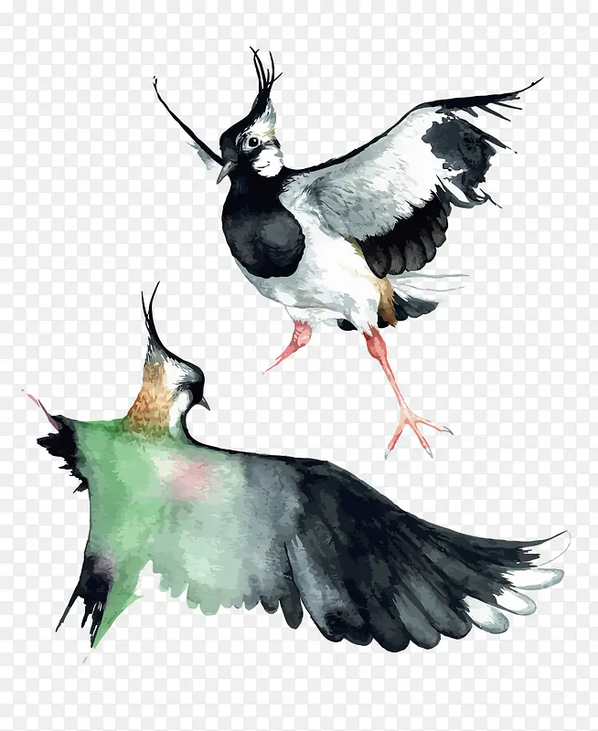 ʸ����ֻ��-������