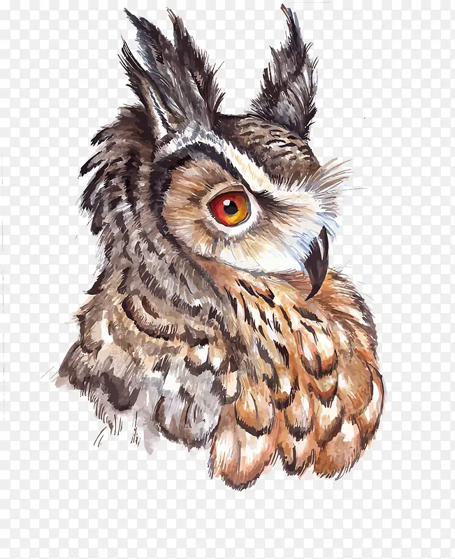 ʸ��ˮ���ֻ�èͷӥ-������