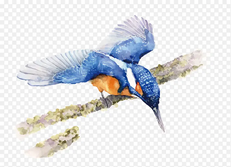 ʸ����ɫ��-������