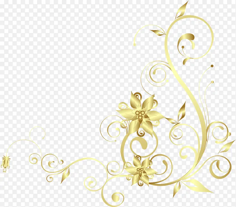 ��ɫ����-������