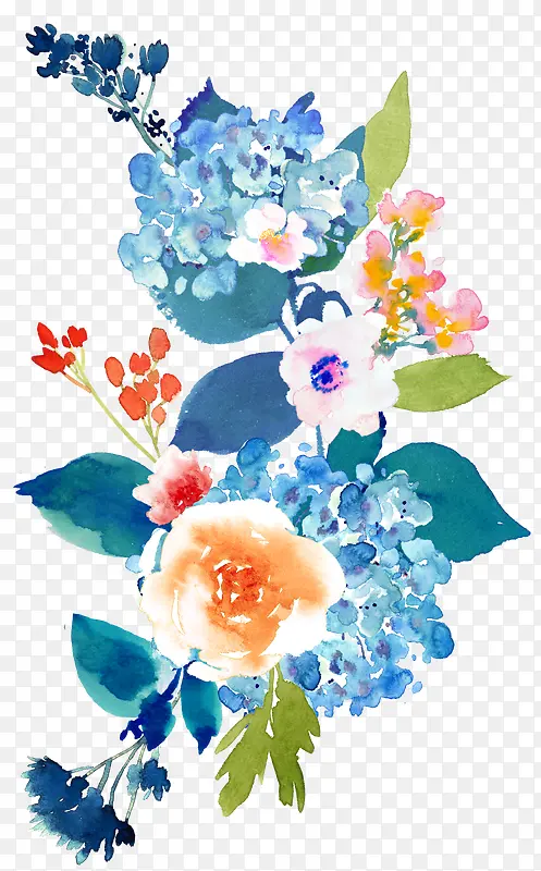 �ʻ�ֲ��-������