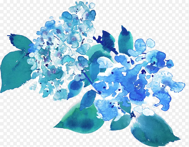 ˮ��ֲ��-������