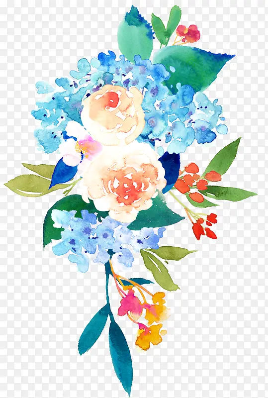 �ʻ�ֲ��-������