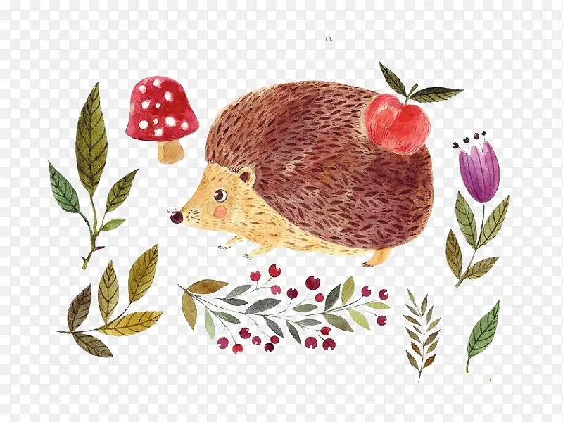 ��⬺�ֲ��-������