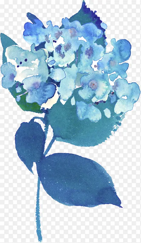 ˮ��ֲ��-������