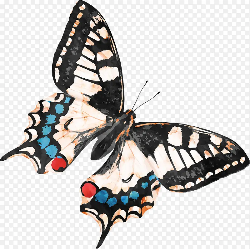 �ֻ滨����-������