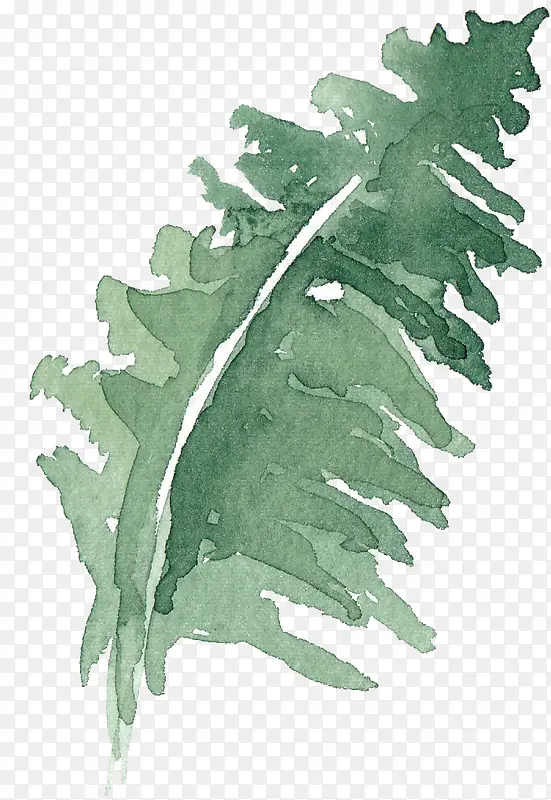 �ֻ�Ҷ��-������