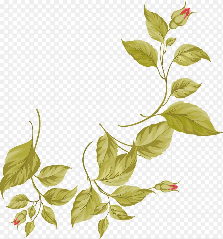 ����ʱ��Ҷ���ز�-������