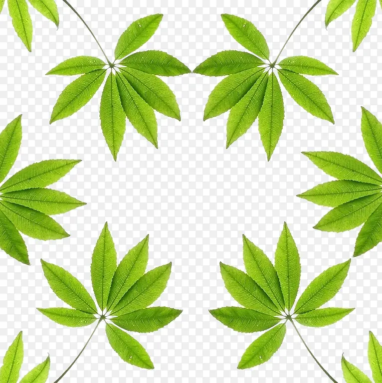 ��ɫ����-������