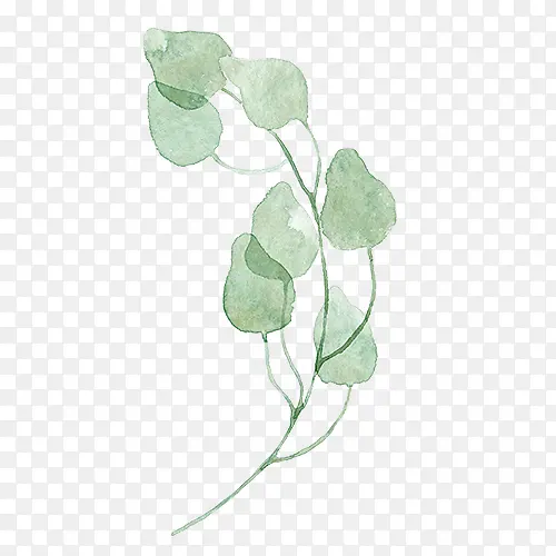 ˮ��Ҷ��-������