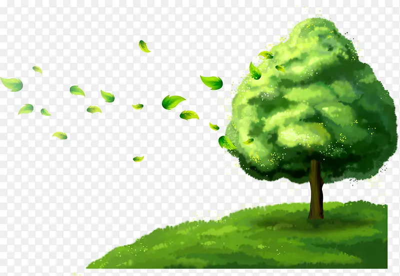 ��ɫ������-������