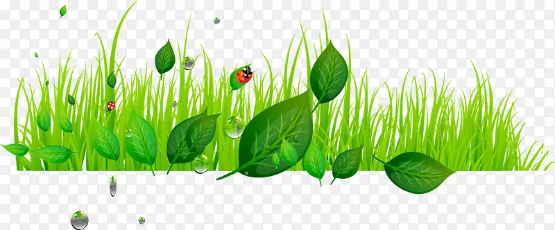 ʱ�л�����ɫ�ز�-������