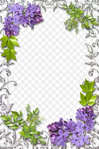 ��ɫ����߿�-������