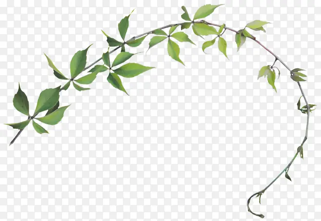 Ʈ����֦-������