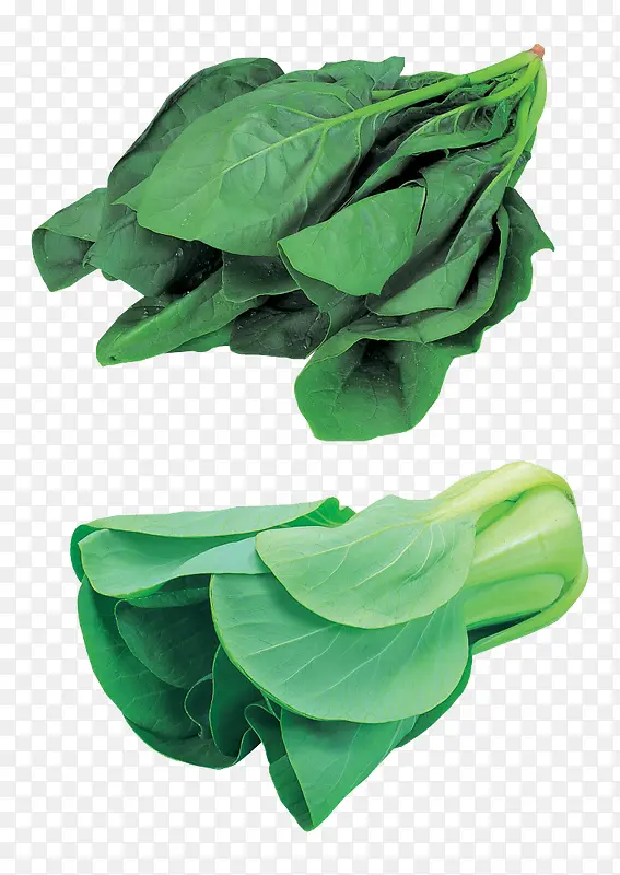 ��ɫ�߲�-������