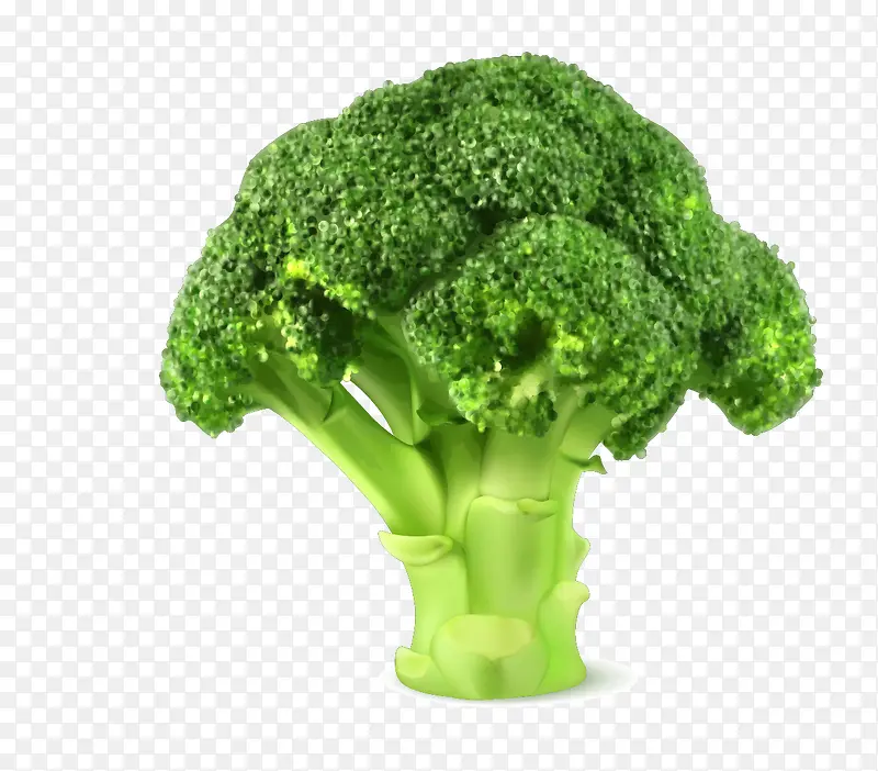 ʸ���߲�Ҷ-������