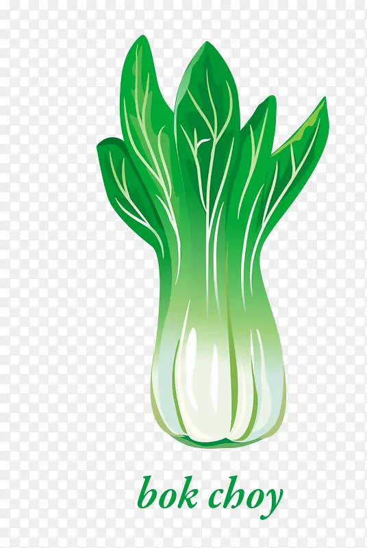 ʸ����ɫ�߲�Ҷ-������