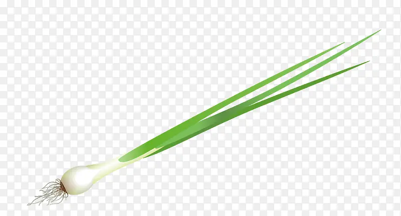 ʸ����Ҷ-������