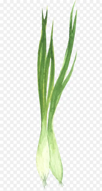 ʸ����Ҷ-������