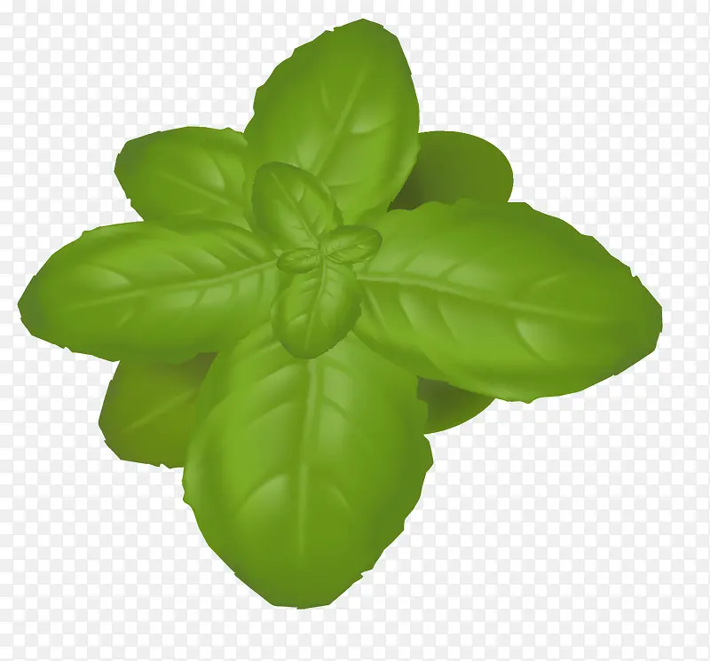 ʸ����ɫ��Ҷ-������