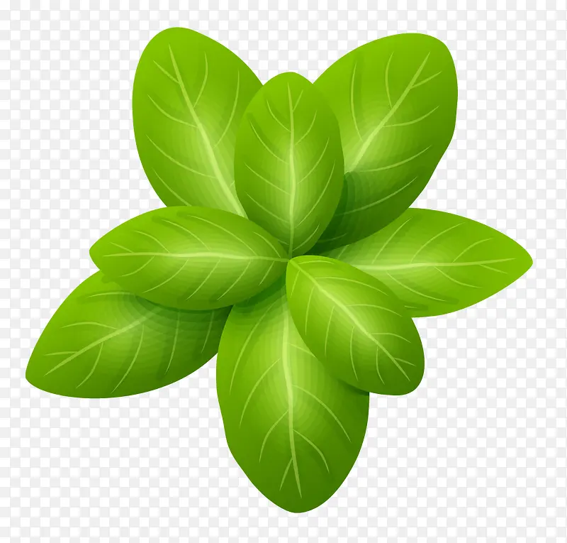 ʸ����ɫ��Ҷ-������