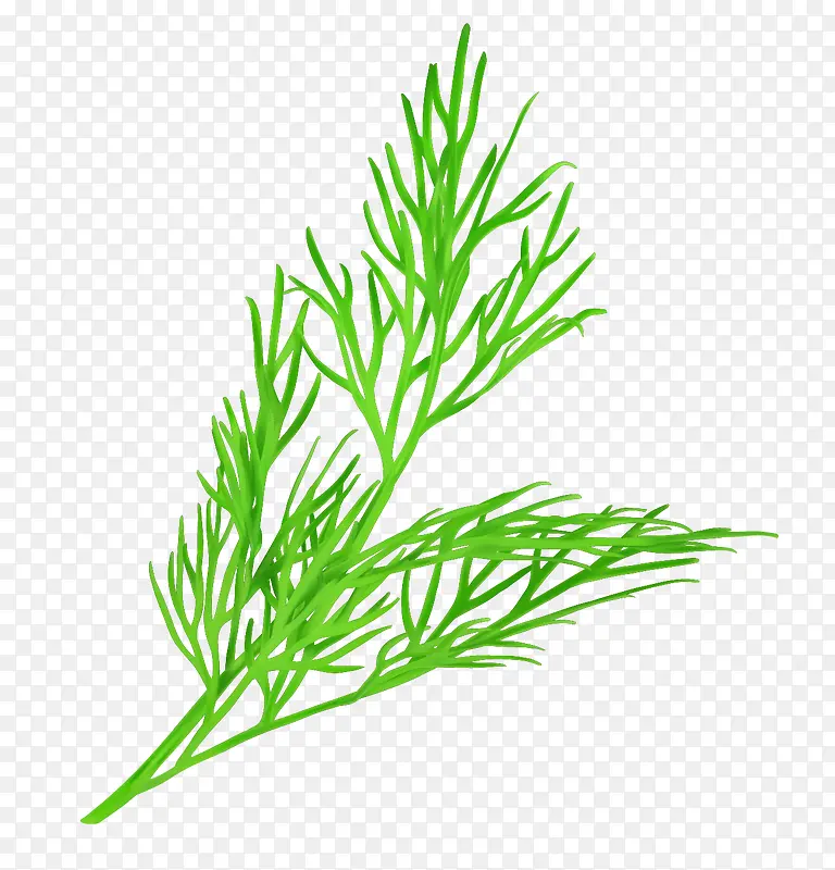 ʸ������Ҷ��-������