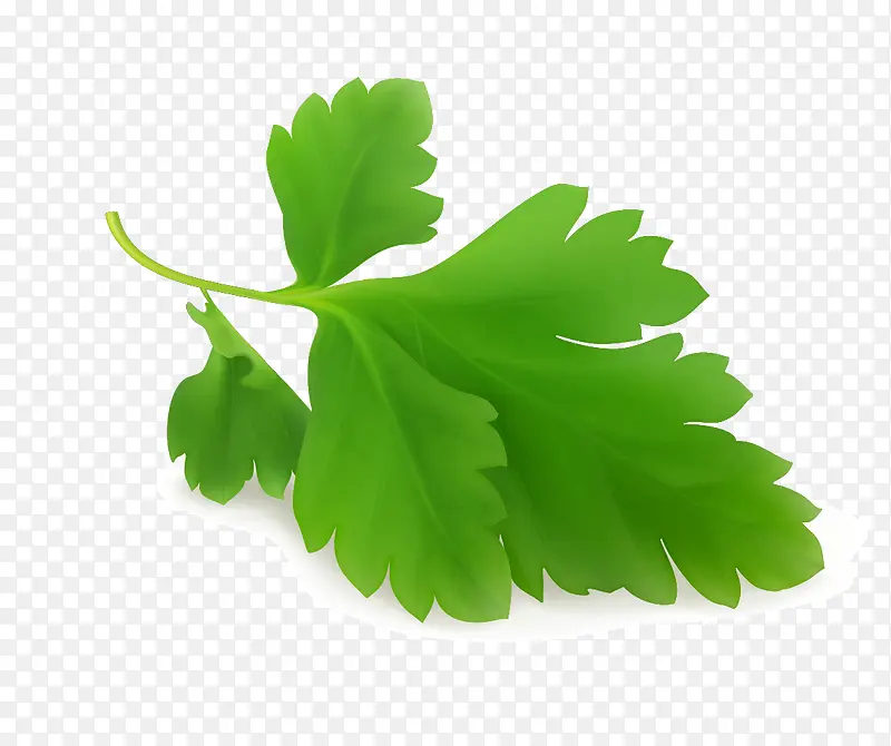 ʸ����Ҷ-������