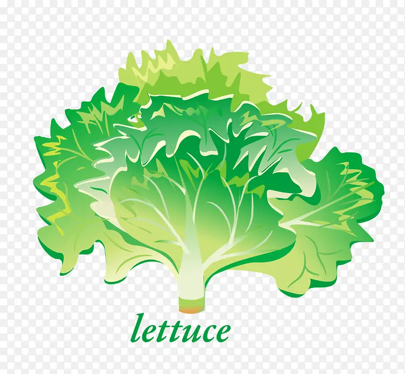 ʸ������Ҷ-������