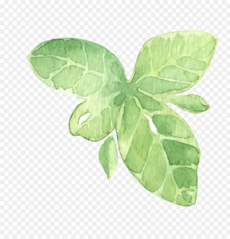 ʸ����ɫ�߲�Ҷ��-������