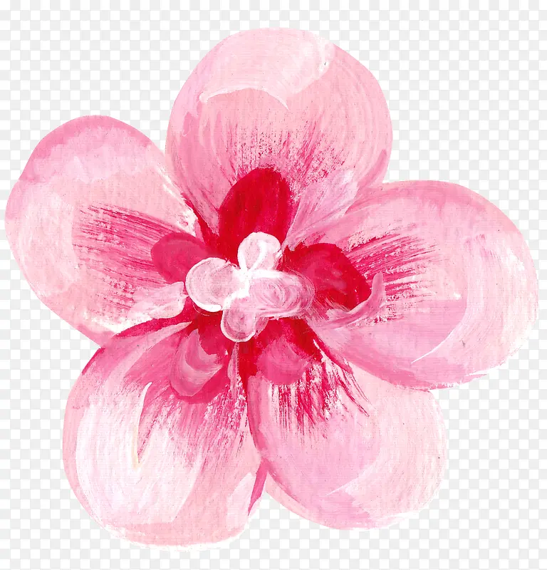 �ֻ滨��-������