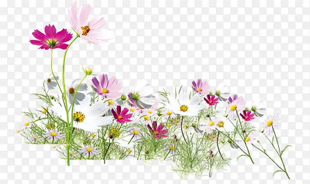 ��-������