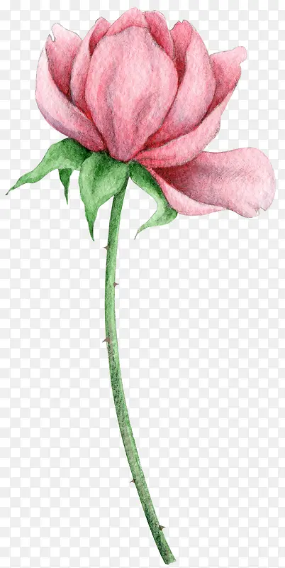 �ֻ滨��-������