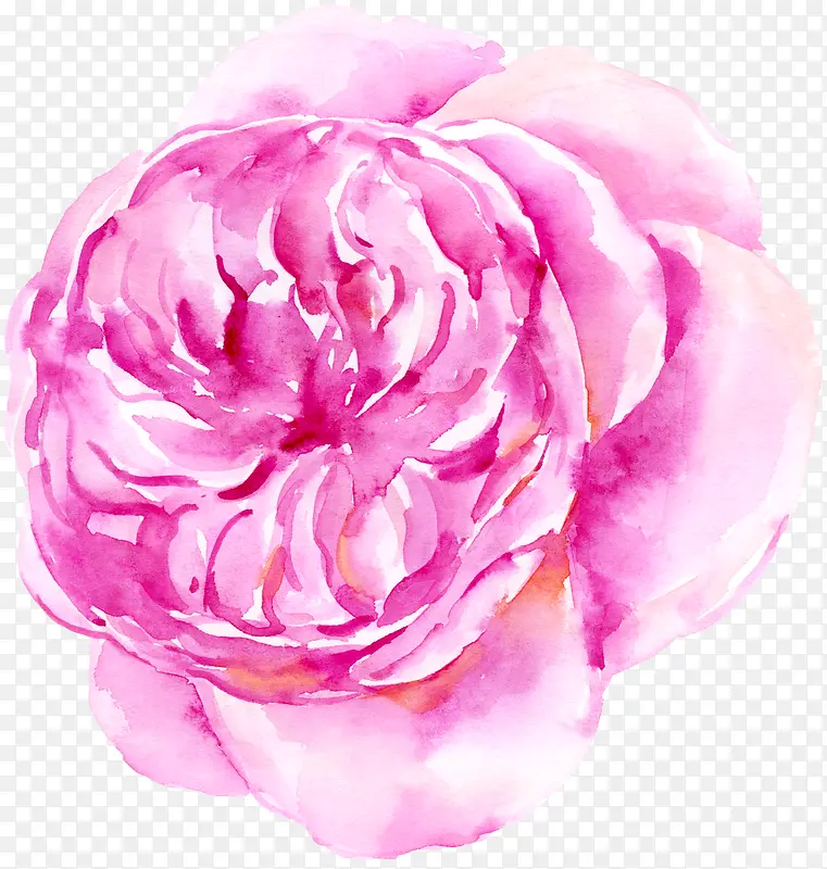 ��ɫ��ˮ��-������