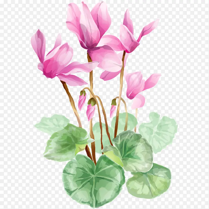 ˮ�ʻ���-������