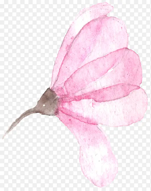 ��ɫˮ��-������