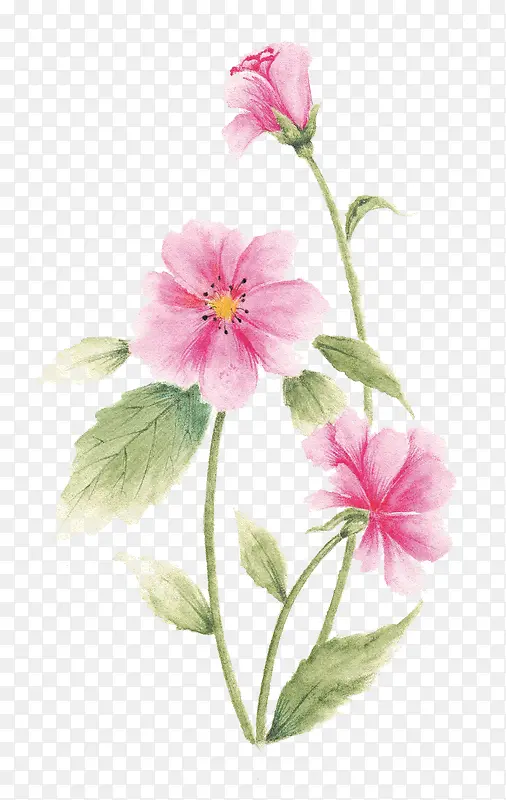 ֲ��-������