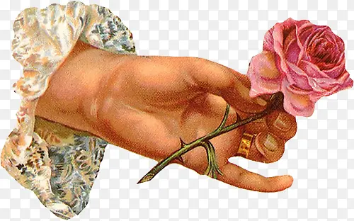 �ֻ滨��-������