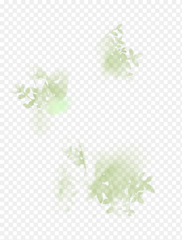 ��Ҷ�����ز�-������