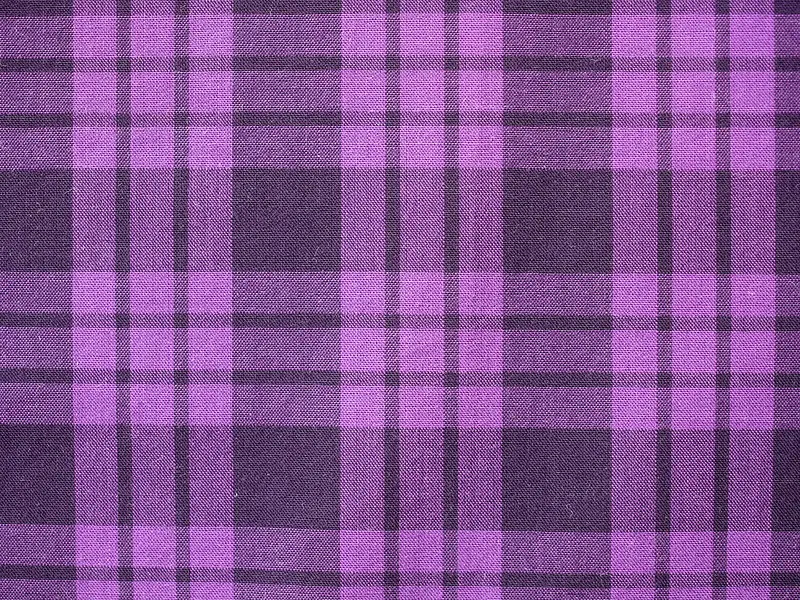 ���Ʊ���-������