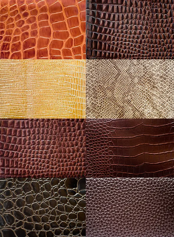 Ƥ�������ز�-������