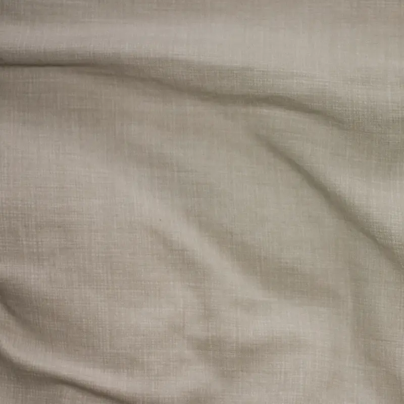 ����֯�ﱳ��-������