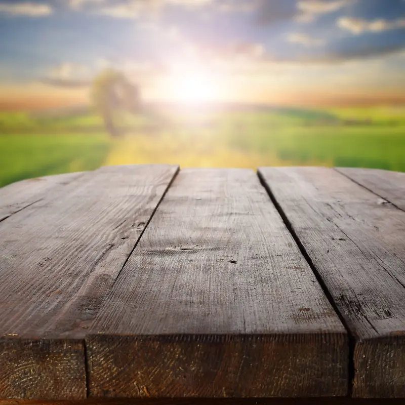 ����ľ���ز�-������