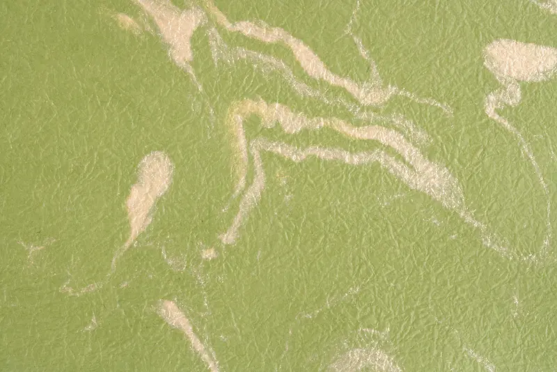 ֽ����������-������